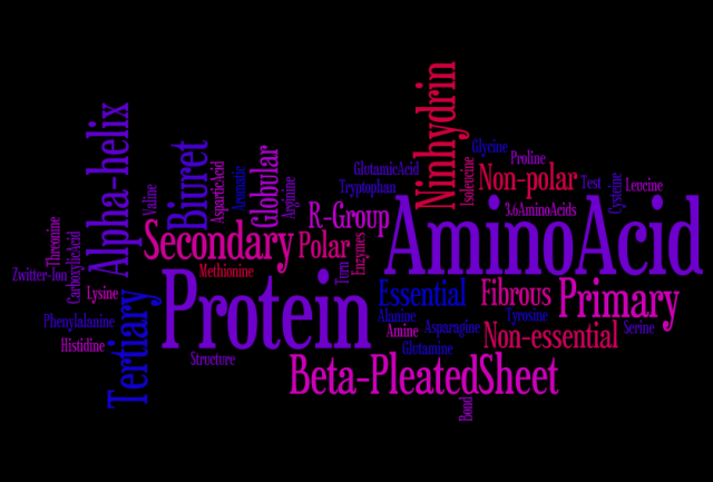 Amino Acid & Protein Word Cloud