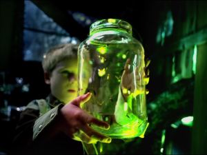 Fireflies_glass_jar